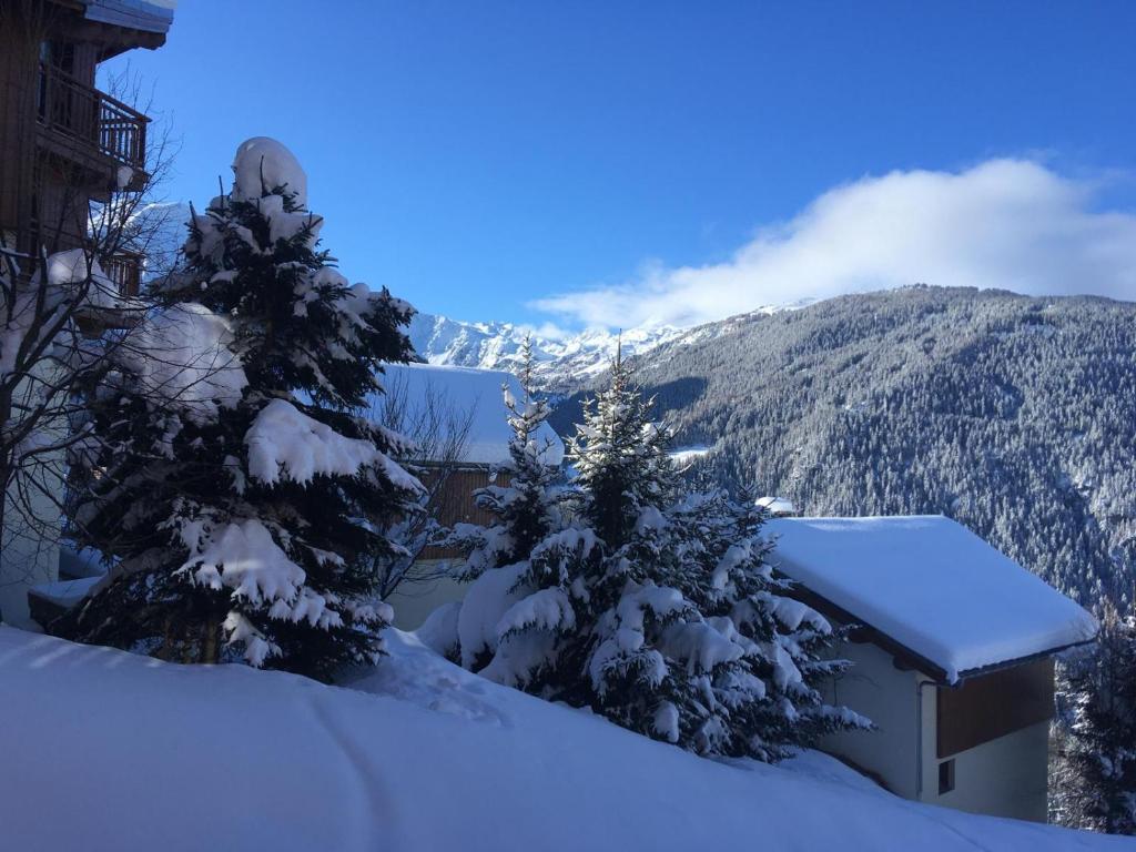 a view of a snow covered mountain with trees at Appartement cosy Peisey Les Arcs 6-8 pers - piscine sauna - en face des pistes in Peisey-Nancroix