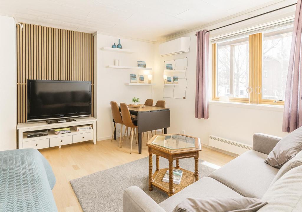 TV a/nebo společenská místnost v ubytování Warm and cozy apartment in Tromsø, free parking and close to both airport and nature