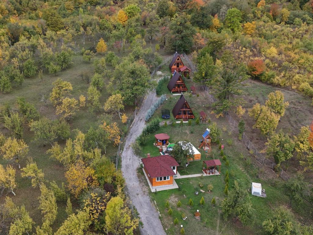 an aerial view of a large house in the woods at Stelele Coziei in Valcea