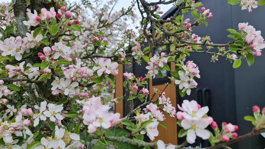 Applewood Cabin 1 by Tiny Away - Resim 27