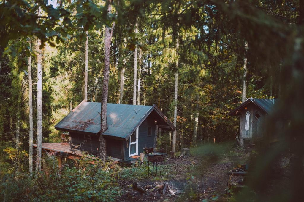 una pequeña cabaña en medio de un bosque en ALŪNA house, 