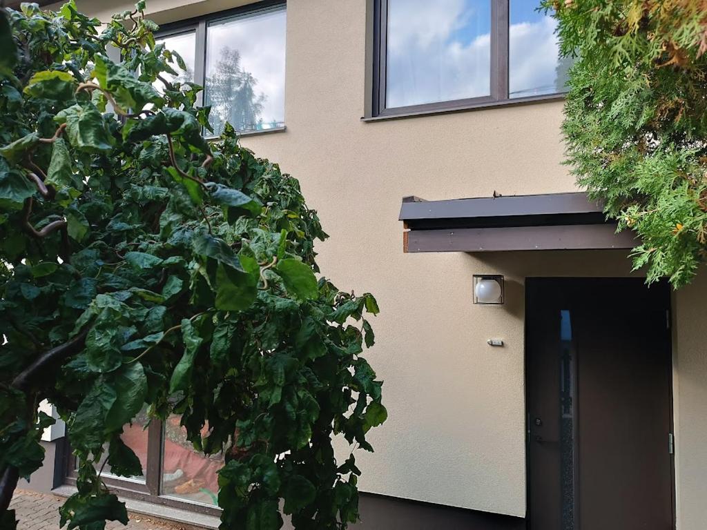 a building with a tree in front of a door at Villa Professor in Tallinn