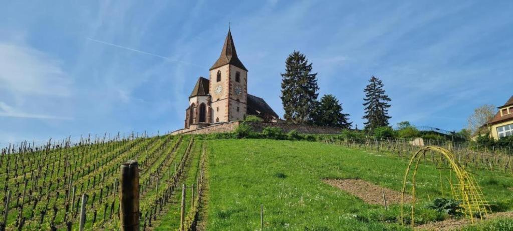 Maison d'Hôtes Sainte Hune Chambres et appartements – photo 32