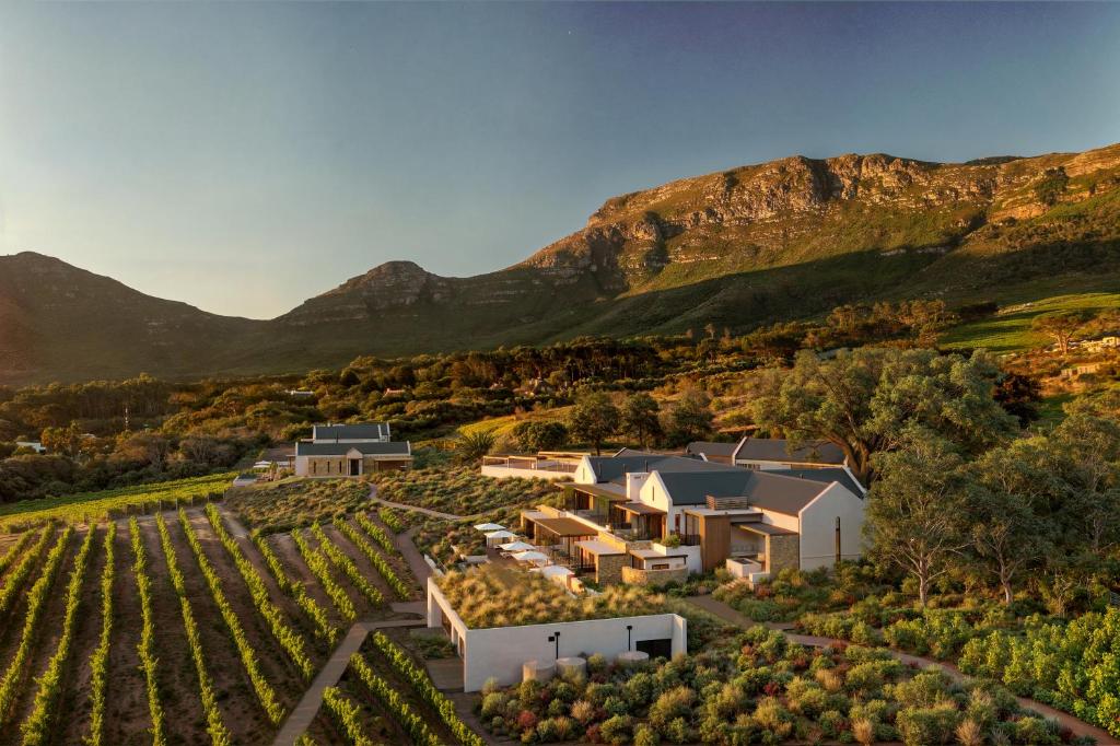 an aerial view of a estate with a vineyard and mountains at The Alexander Estate in Good Hope