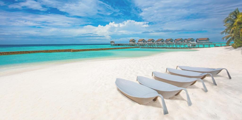 Centara Ras Fushi Resort & Spa Maldives - Stay 4 nights or more and enjoy 40 percent off Speedboat transfers, valid for stays from 6 Apr to 30 Sep 2026 photo