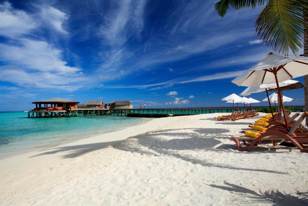 Centara Ras Fushi Resort & Spa Maldives - Stay 4 nights or more and enjoy 40 percent off Speedboat transfers, valid for stays until 31 October 2026 - View 41