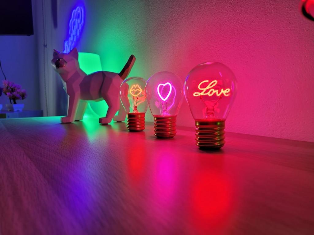 Un gato de pie junto a cuatro bombillas con la palabra amor. en Il Nido d'Amore, en Livorno