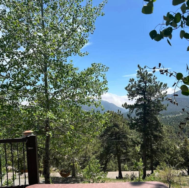 a view of trees and mountains from a balcony at Gorgeous Coal Creek Canyon Guest Suite in Coal Creek