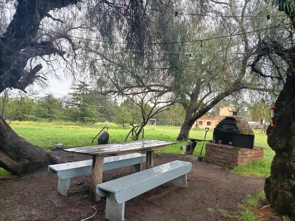 Apart hotel Las golondrinas