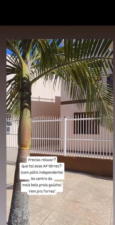 a palm tree in front of a white fence at Apartamento térreo Torres centro in Torres