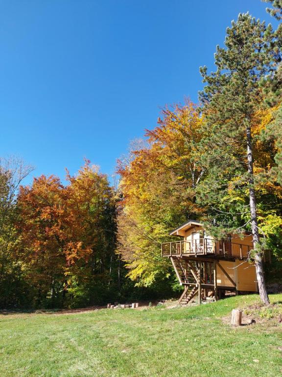 a tree house in the middle of a field at Treetop Tiny House Pod Korunami in Horná Mičiná