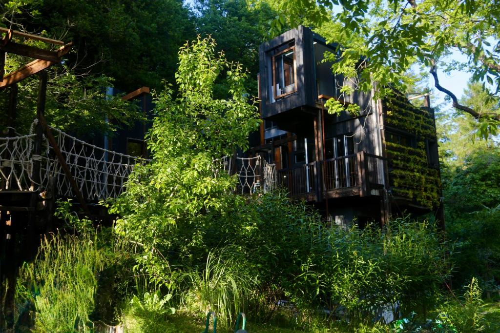 an old tree house in the middle of the forest at Zero Zero Treehouse in Coleford