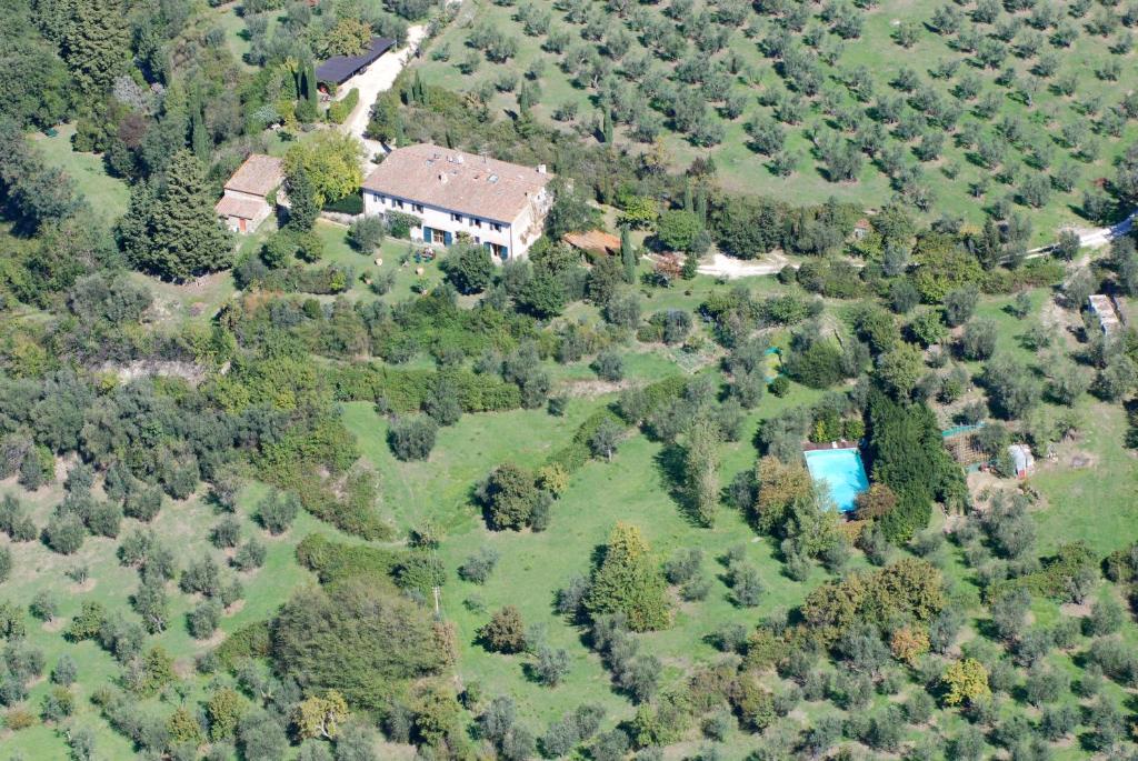 Fattoria il Leccio - Camera doppia con letti singoli