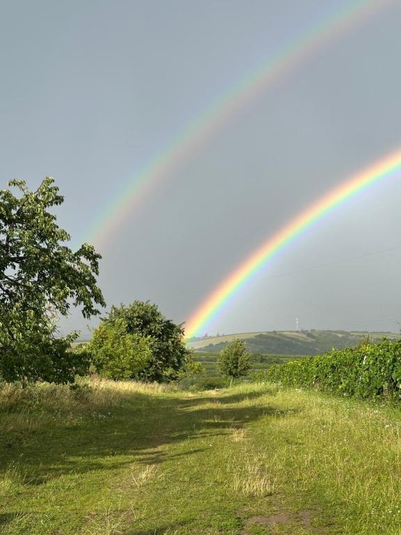 Příroda nedaleko luxury tent