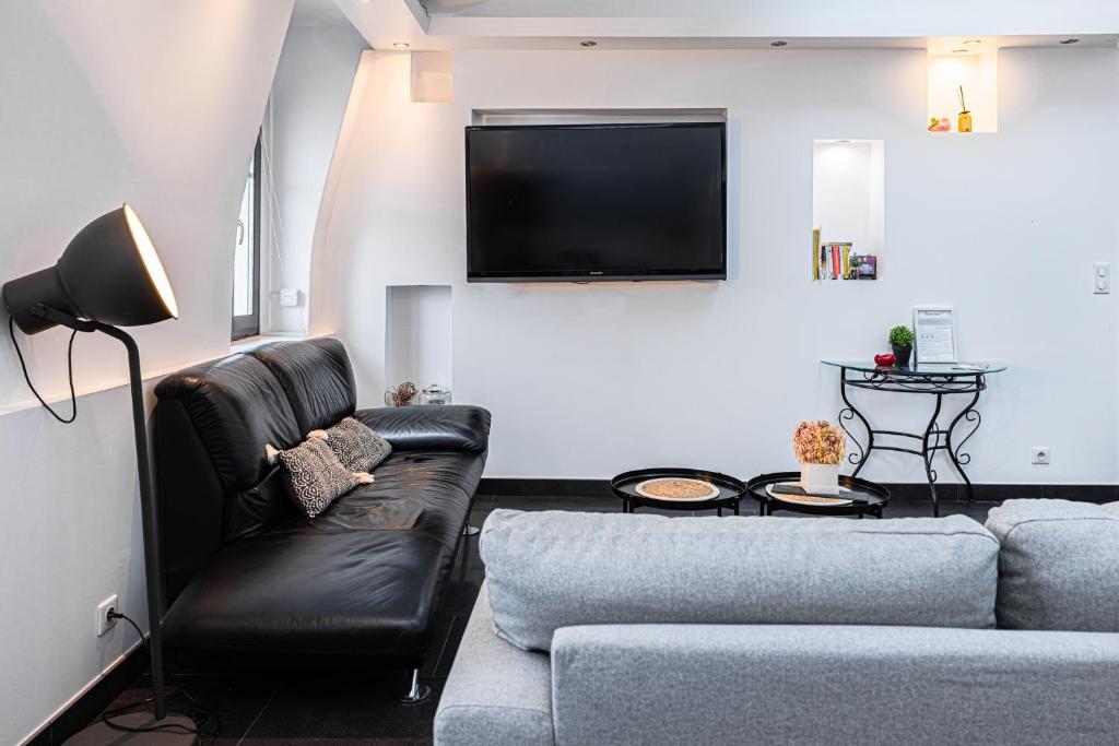 a living room with a couch and a flat screen tv at La Parenthèse- Place Martroi- Vue- Clim réversible in Orléans