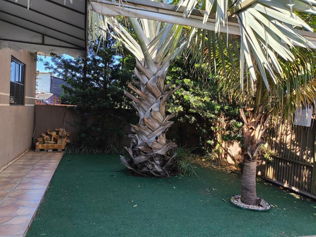 伊瓜苏Casa aconchego的房子旁的院子中的棕榈树