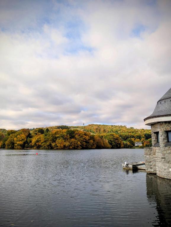 a view of a lake with a building and trees at Ferienwohnung Lygri in Olpe