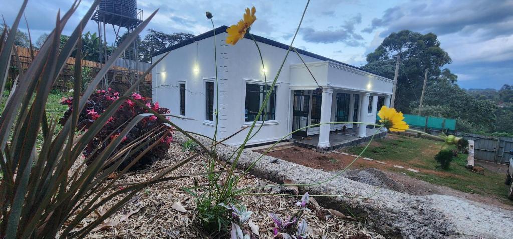 Κήπος έξω από το The Beleza Suites