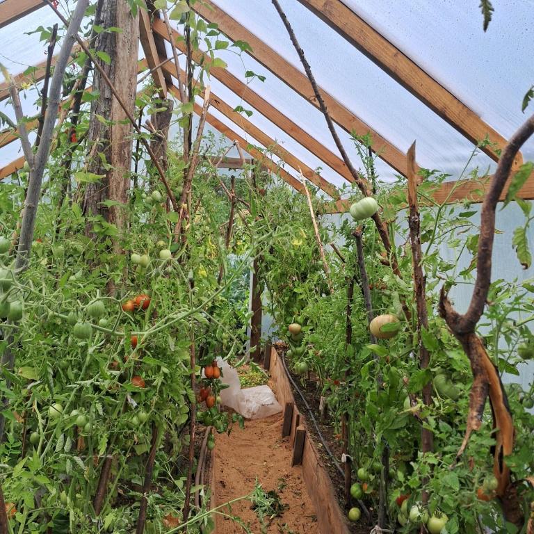 Ecopuelo Departamentos