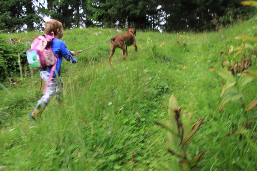 Zvířata v penzionu – hostince nebo okolí