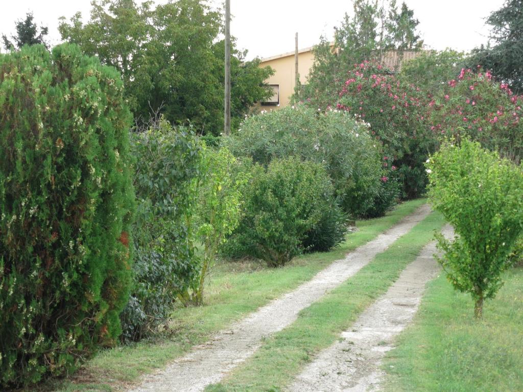 a dirt road in a garden with trees and bushes at AL MANDORLO Casa Vacanze in Viterbo