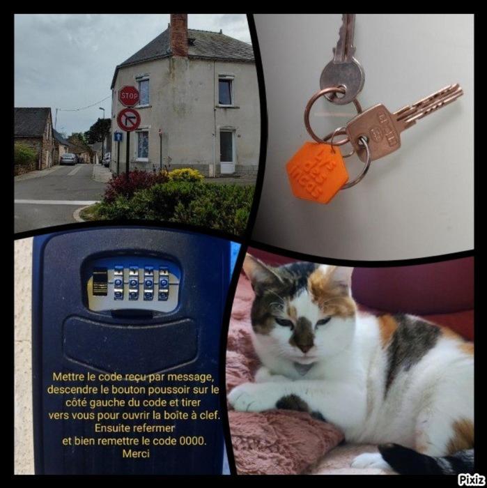 Chambre chez l habitante "Lys des incas" - Housity