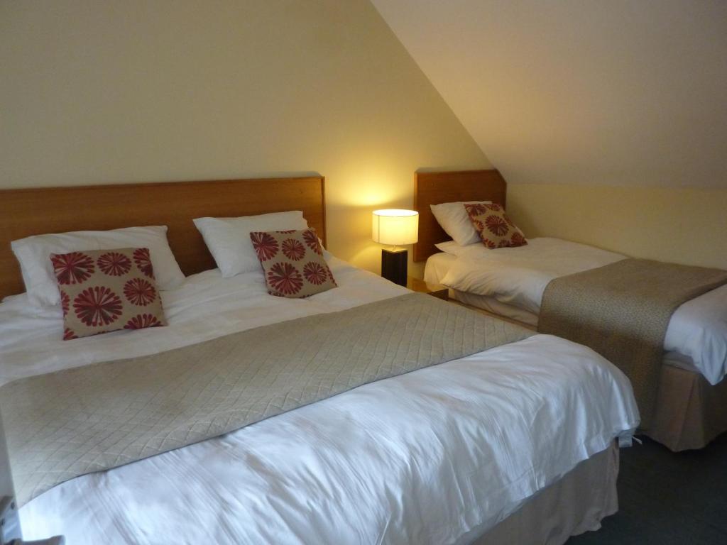 una habitación de hotel con 2 camas y una lámpara en The Douglas Hotel en Langholm