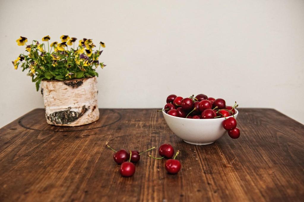 a bowl of cherries and a vase of flowers on a table at Potoczek 19 in Międzylesie