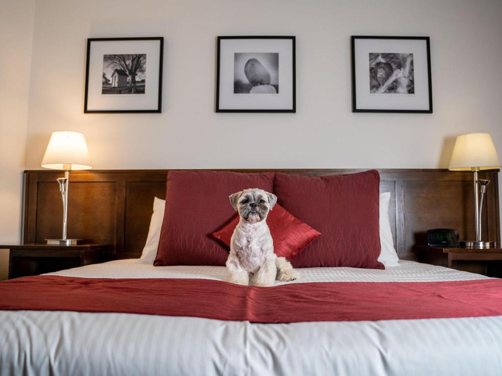 Mercure Canberra - Resim 19