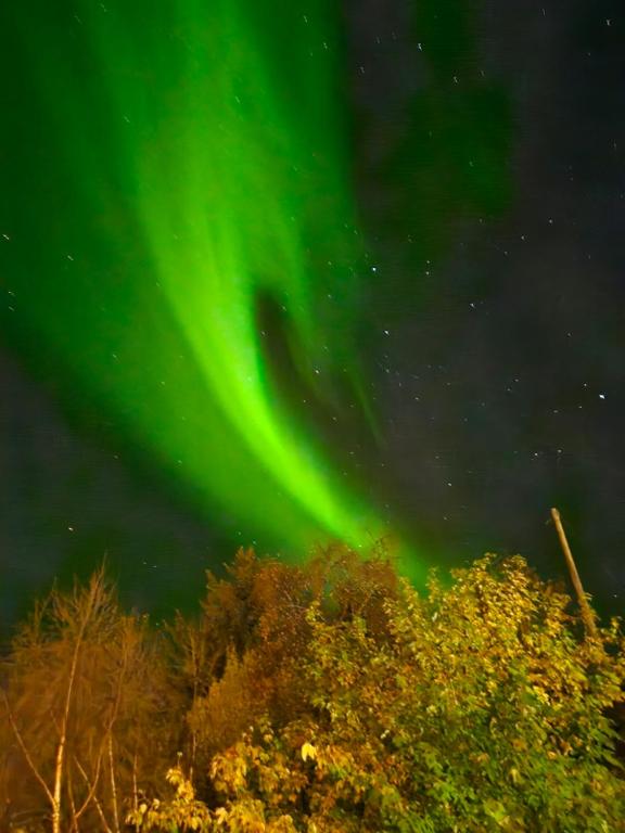 Φωτογραφία από το άλμπουμ του Downtown apartment in Kabelvåg σε Kabelvåg