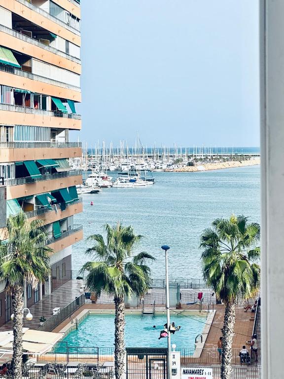 a view of a pool with palm trees and a building at EliMar-Torrevieja Beach in Torrevieja