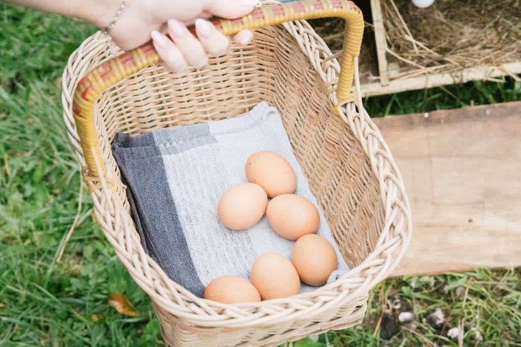 Forest Farm Tiny House by Tiny Away - Resim 29