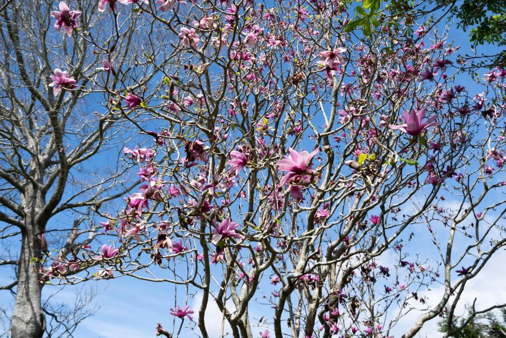 Forest Farm Tiny House by Tiny Away - Resim 34