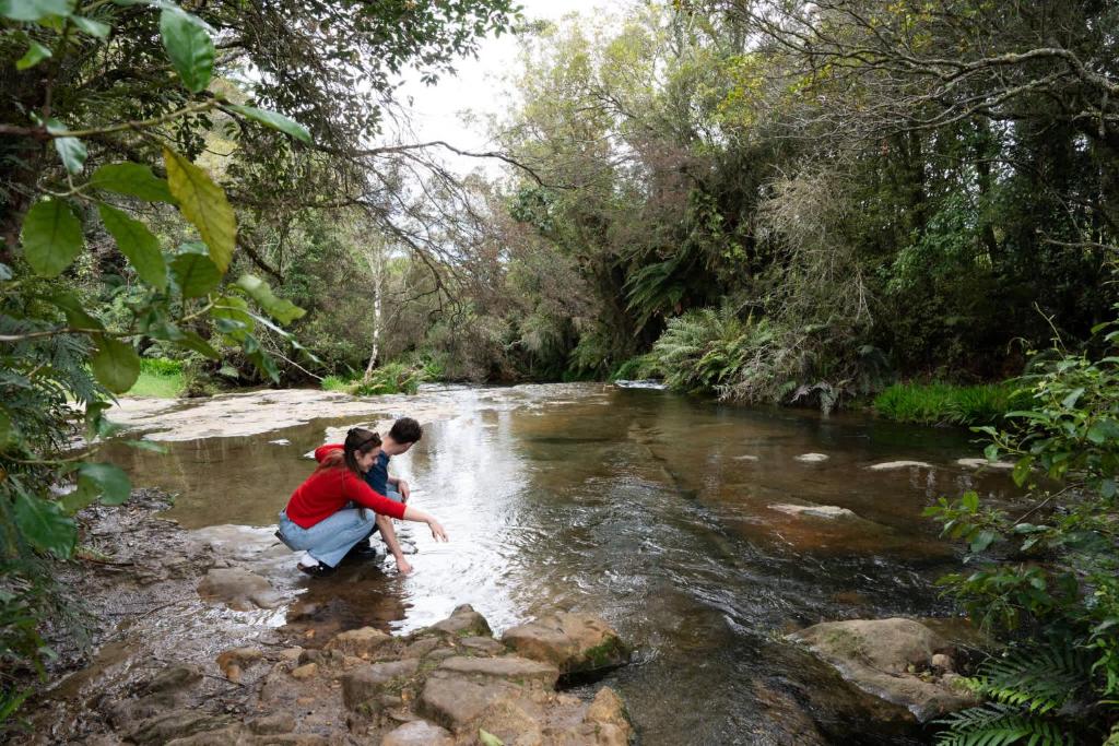 Forest Farm Tiny House by Tiny Away - Resim 40