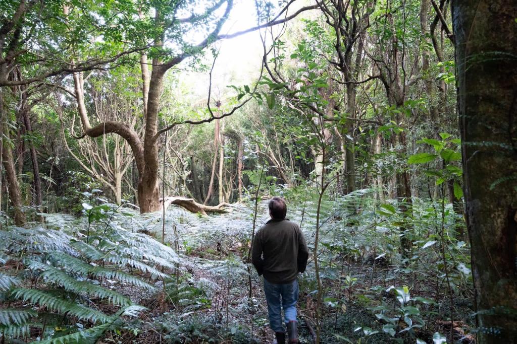 Forest Farm Tiny House by Tiny Away - Resim 43