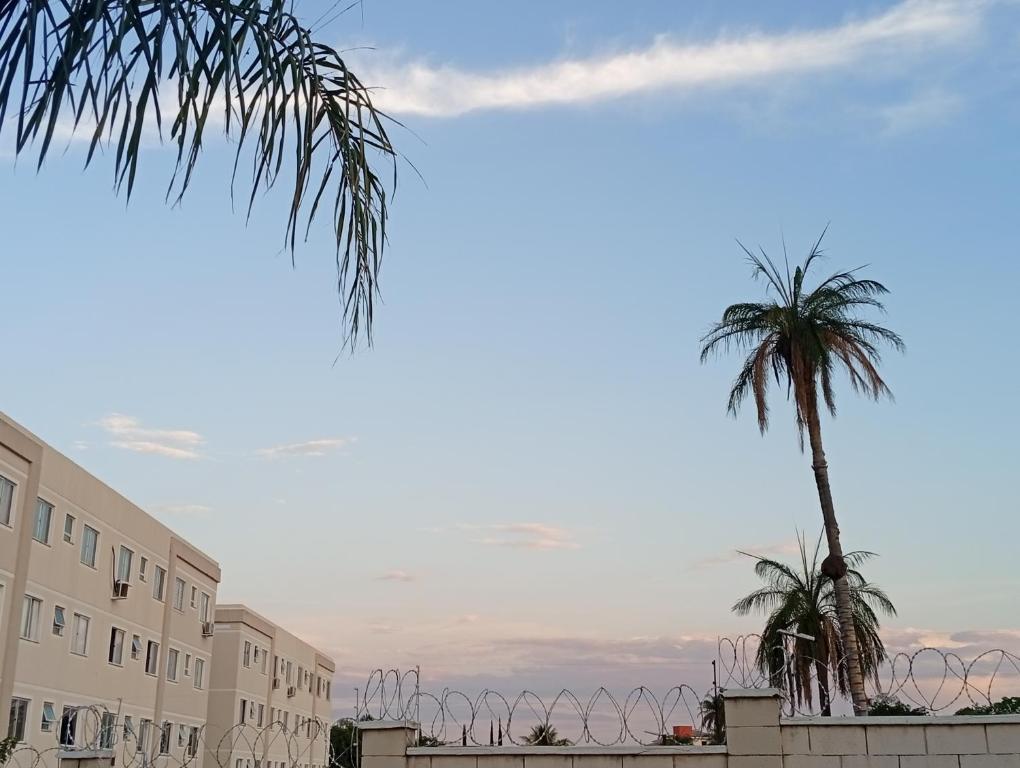 een palmboom voor een gebouw bij Doce lar in Montes Claros