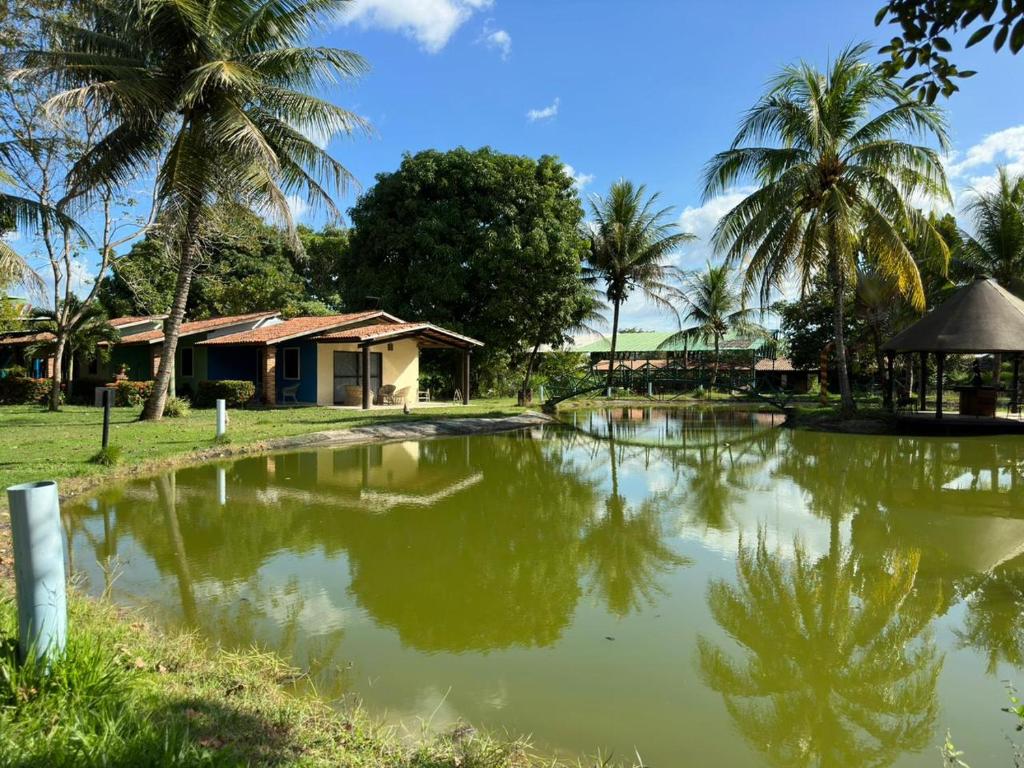 a pond in front of a house with palm trees at Complexo Barrigudos in Pacajus