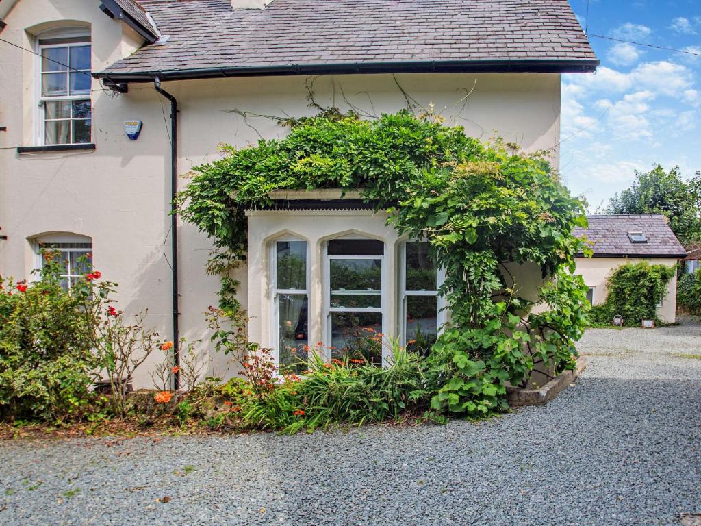 a house with a window with a bunch of plants at 1 Bed in PENMAENMAWR 95495 in Penmaen-mawr