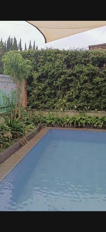 Una piscina azul frente a un seto en Villa Fathan bukit cipendawa, en Cianjur