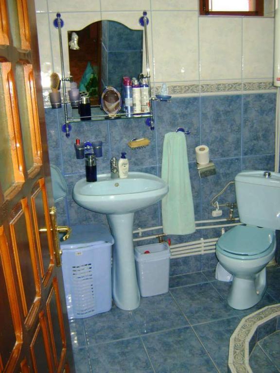 a blue tiled bathroom with a toilet and a sink at Casa de Vacanta Pravdencu in Mahmudia