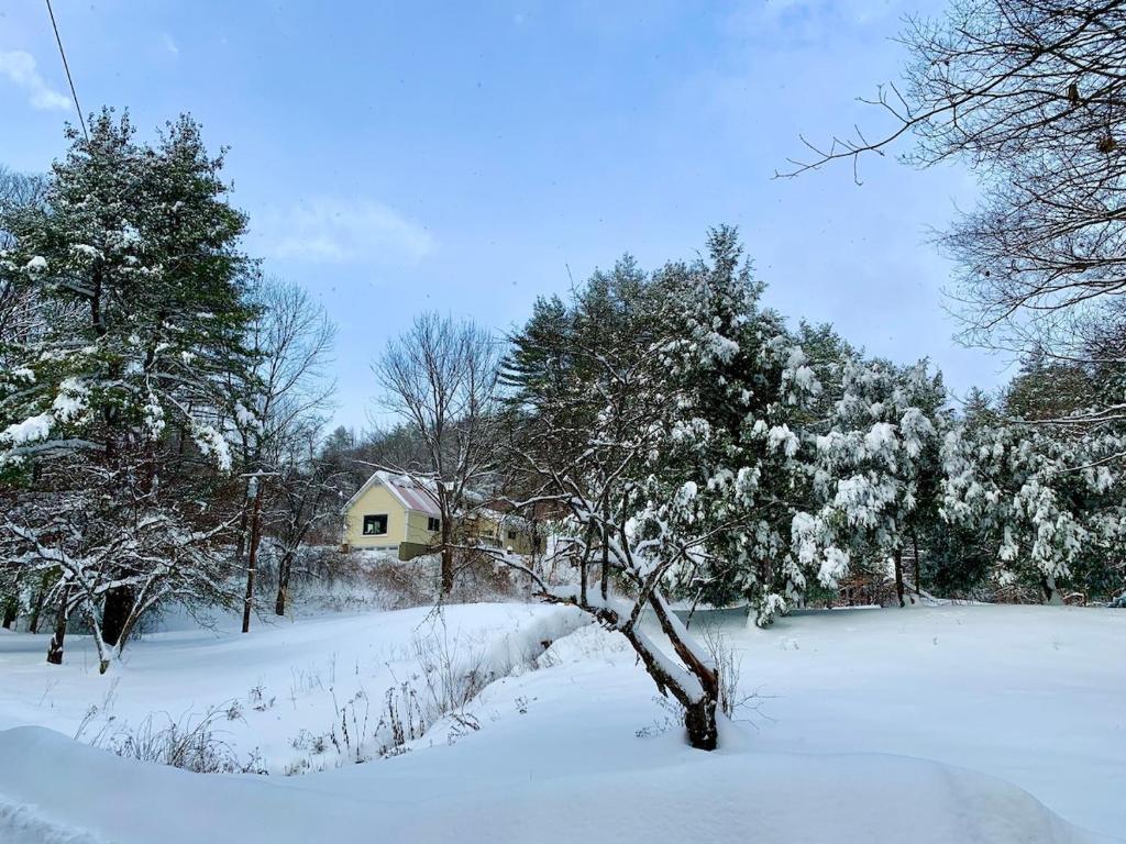 une cour enneigée avec une maison et un arbre dans l'établissement Secluded Farmhouse Near Okemo, Bromley, Sunapee, à Rockingham