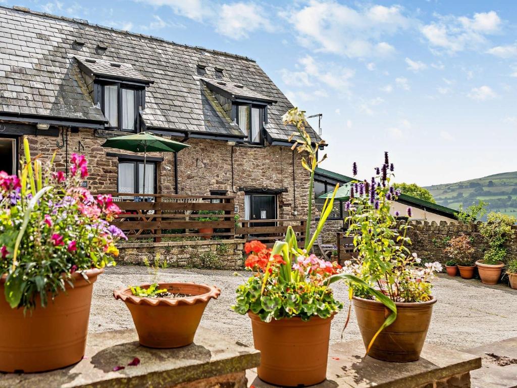 Pont Newyddにある1 Bed in Abergavenny BN113の鉢植えの集団