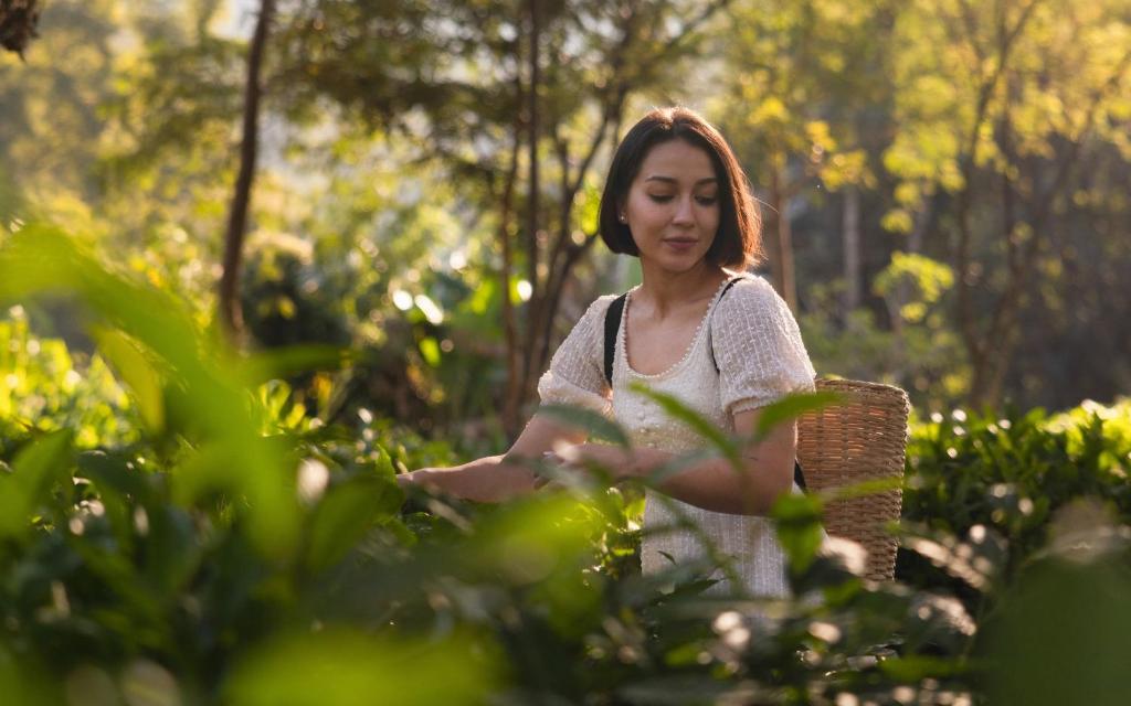 Dusit Princess Chiang Mai - Resim 31