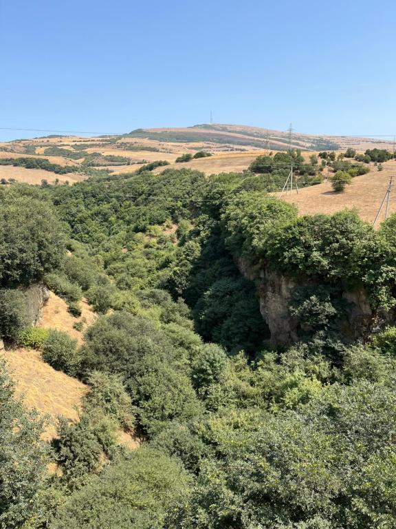 LerikにあるLerik Villaのたくさんの木や茂みに覆われた丘陵