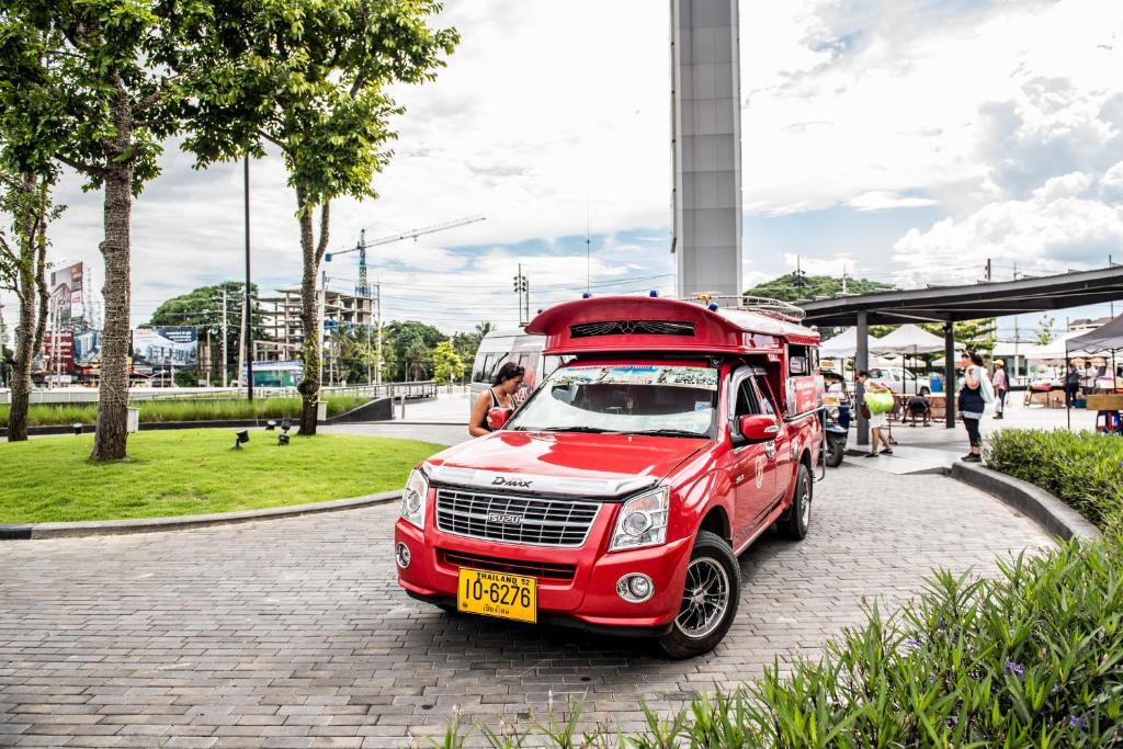 Nap In Fest - Resim 9