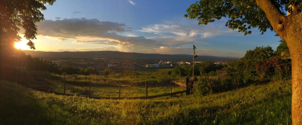 a view of a city from a hill with the sunset at Pension Forstgut Waldeck in Ingelheim am Rhein