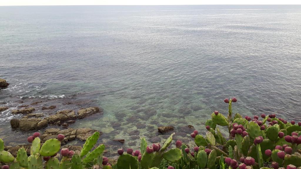 Φυσικό τοπίο κοντά σε αυτό το διαμέρισμα