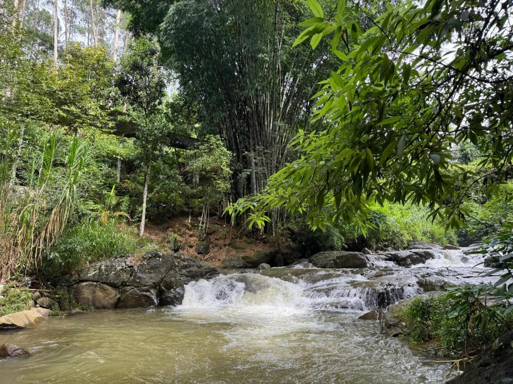 a waterfall in the middle of a river with trees at Rock View Rest Hatton in Hatton