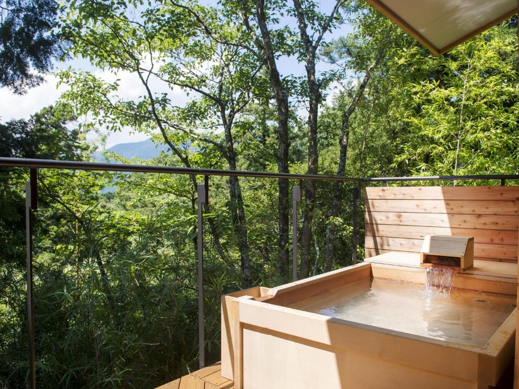 Vergrößerte Ansicht