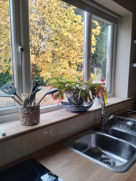 two plants sitting on a window sill next to a sink at Peaceful 1 Bed Self-Contained Property with Parking in Wivenhoe